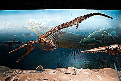 重回当年的“音速”时代！《R2Beat：音速觉醒》4.28开启Steam公测