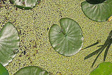 经典作品重制《超级杰克龙三部曲》今秋开放预购